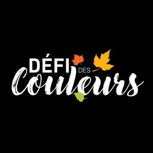 Défi des couleurs