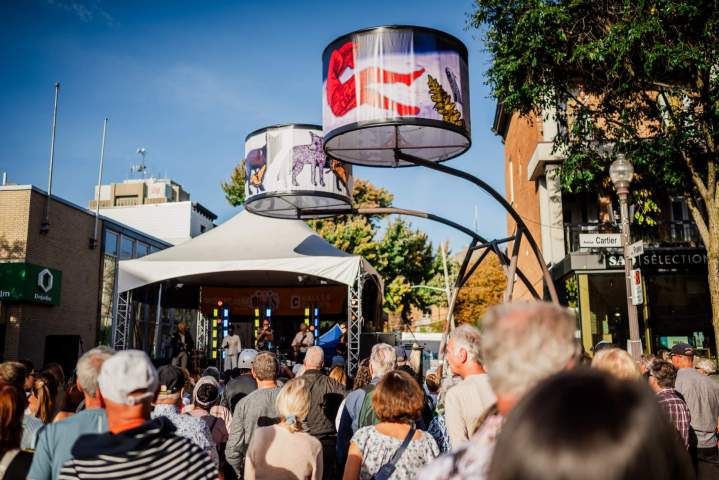 MontcalmBlues 4356 copie