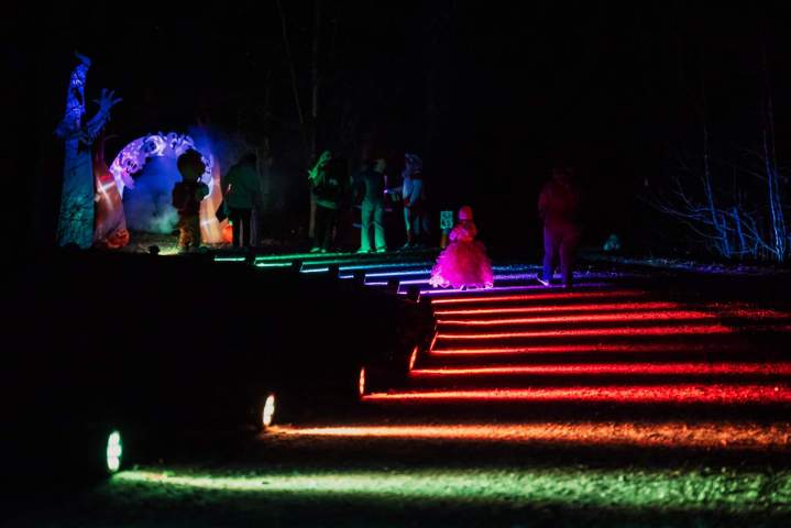 Randoween 3554 copie